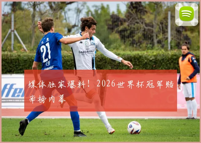 媒体独家爆料！2026世界杯冠军赔率榜内幕